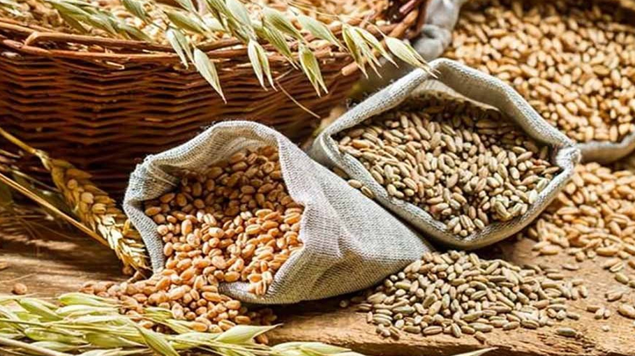 Govt Importing More Food Grains Bangladesh Post