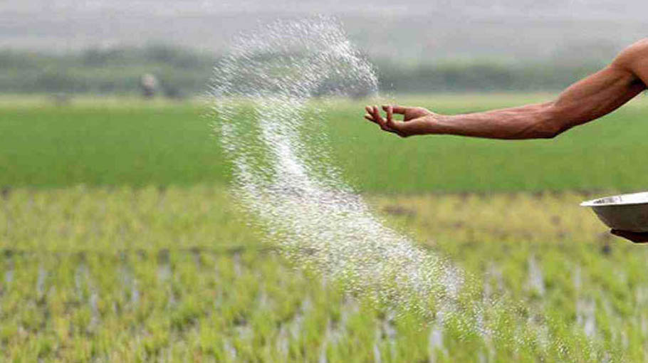 Govt To Procure 12 500 MT Sugar 1 60 Lakh MT Fertiliser Bangladesh Post