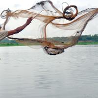 Fishing with nets