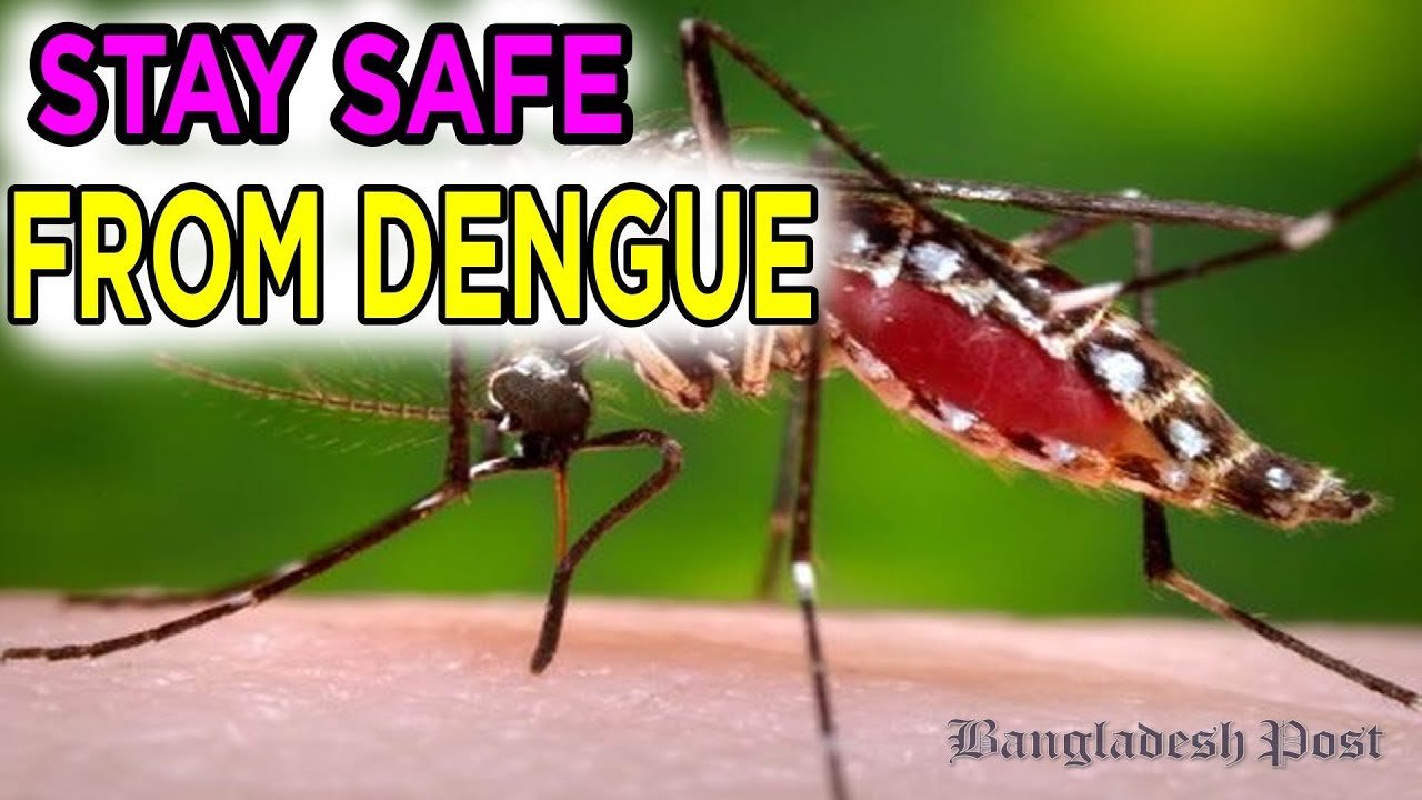 How to Protect Yourself from Dengue Fever