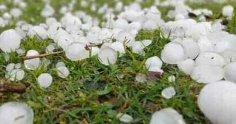 Unseasonal hailstorm catches residents of capital cold