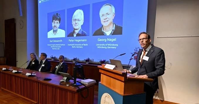 Three Scientists Win Nobel for Research on Brain Activity