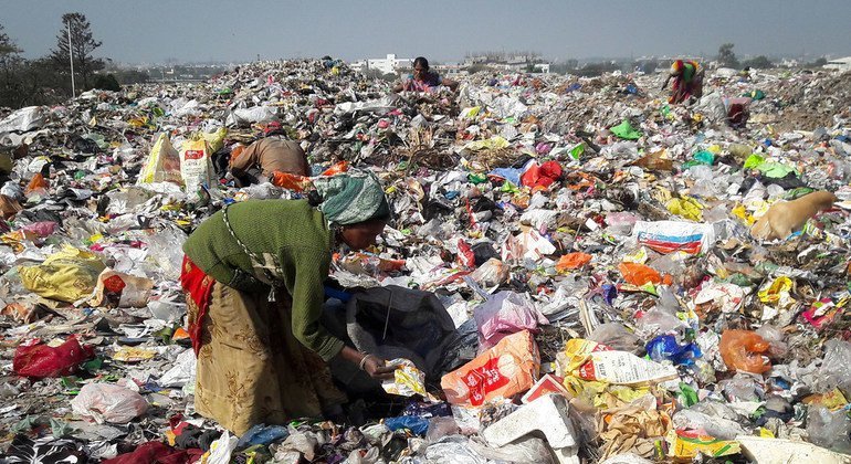 Rotting food waste emits five times more gases than planes