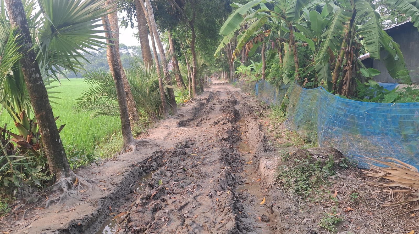 Three villages suffer most as road funds allegedly diverted elsewhere