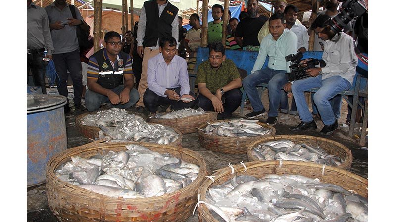 Rab seizes 21 tonnes juvenile hilsa