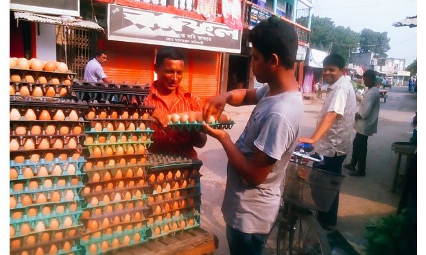 Egg price reaches a new high in Jhenidah markets