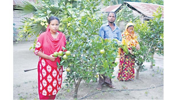 Farming changes life of  jobless youth in Jhenidah