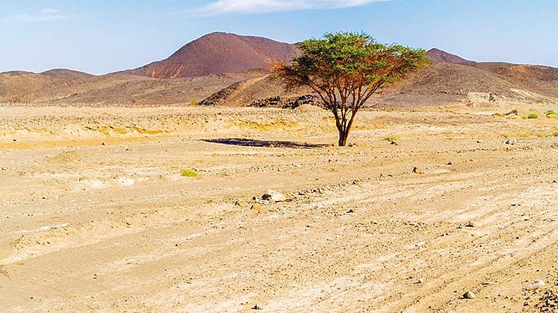 July the hottest month in history, says UN