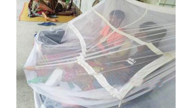 Dengue corner opened in every upazila health complex of Rajshahi