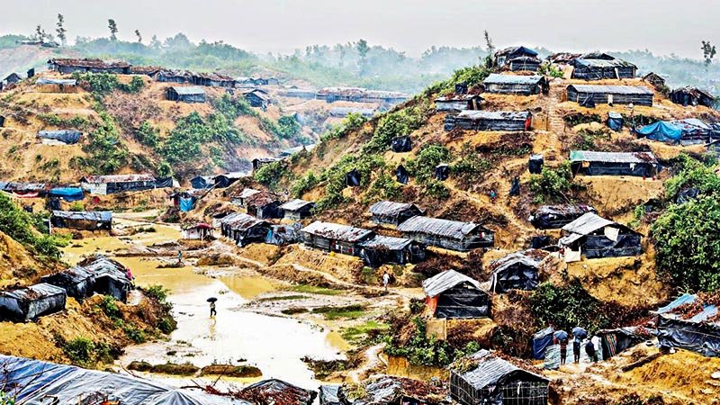 Rohingyas destroy 6200 acres forests  