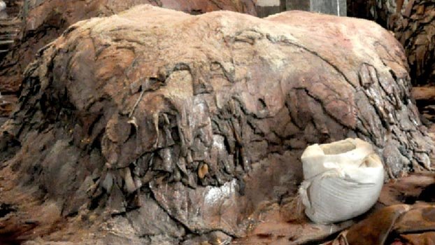 Govt to settle dispute  on rawhide collection