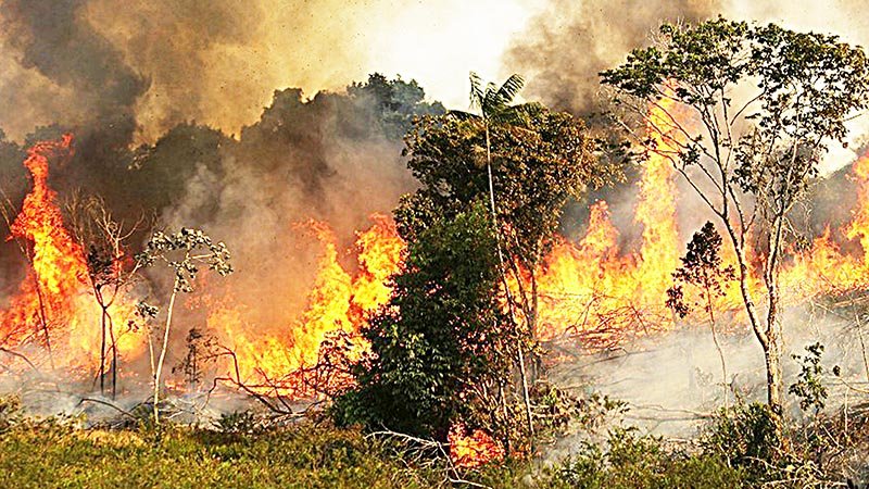 Brazil sends army to  help tackle blazes