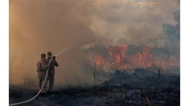 Brazil arrests 63, levies $8.7 million in fines over fires