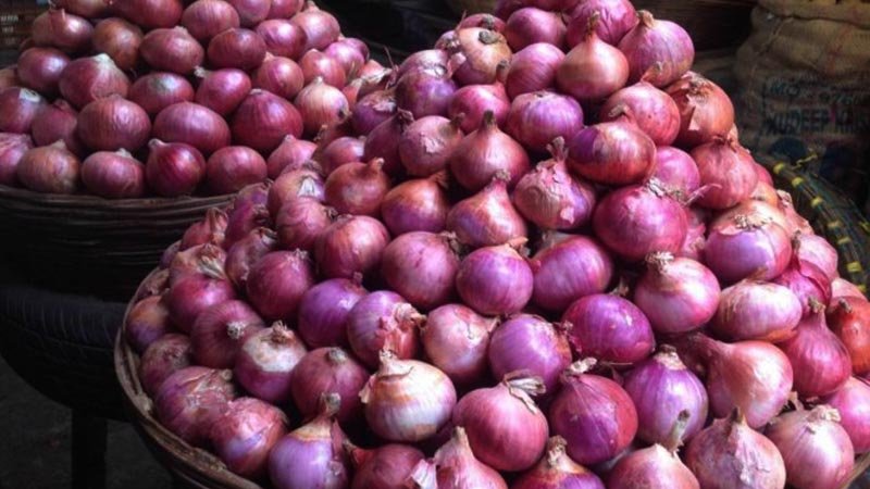 Onion coming within reach of common people 