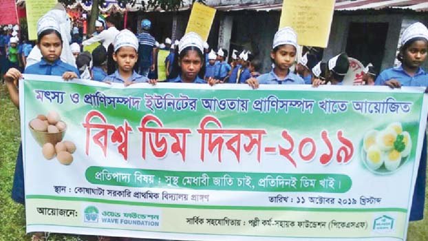 ‘Solve problems to make poultry sector more profitable’