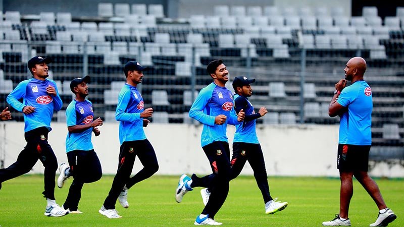 Fresh energised tigers!