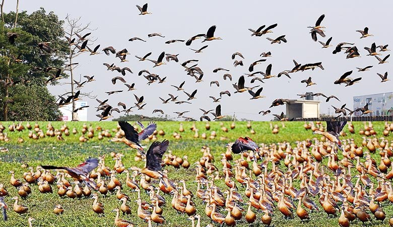 Winter guests arrive in search of warmth