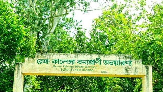 Can we stop being anthropocentric for the sake of Rema-Kalenga?  