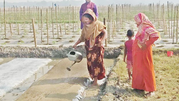 Vermicompost makes Salma solvent 