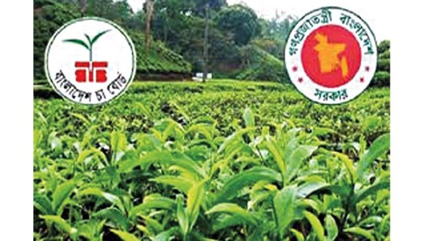 Tea imports to be curtailed due to high productions in country