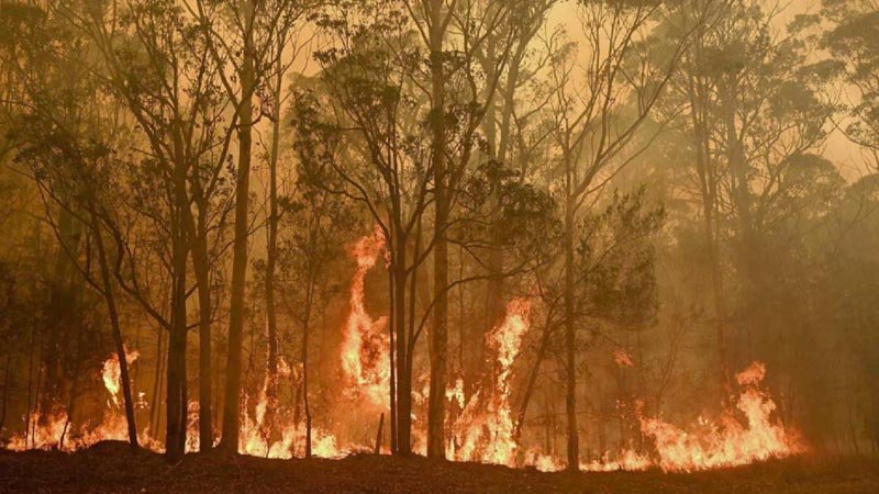 Better weather eases rescue works in Australia bushfires 