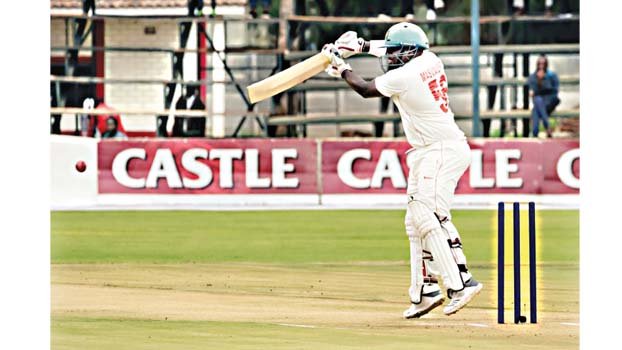 Zimbabwe make steady start in first home Test since 2017