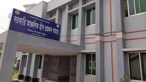 Kishoreganj duck farm creates hope for unemployed people 