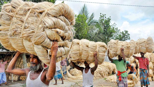 Export earnings from jute rise by 20.82pc in July-January - Bangladesh Post