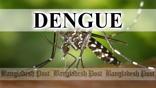 Beware of Dengue! 