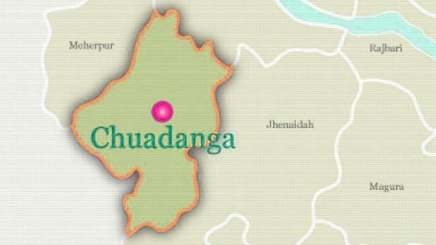 11 sheep, 3 goats crushed in Chuadanga
