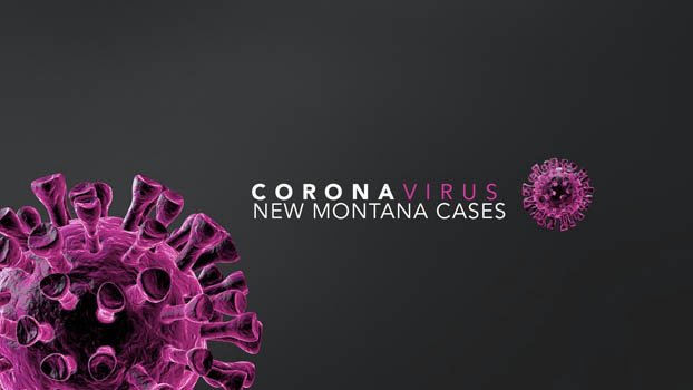 4 new coronavirus cases confirmed