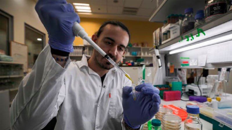 20 coronavirus vaccines being developed: WHO