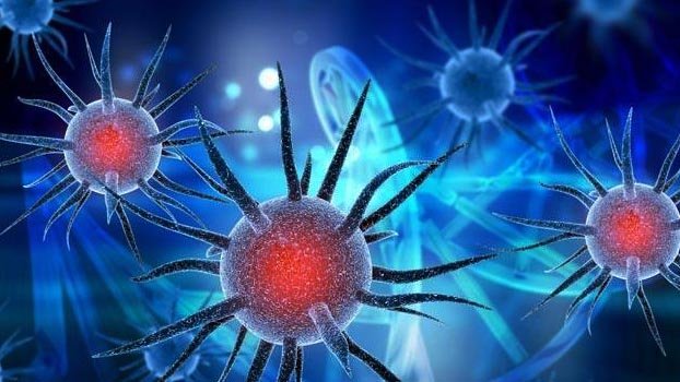 Rely only on verified news sources: Experts