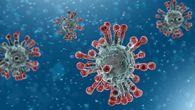 Coronavirus claims one more life in 6 new cases