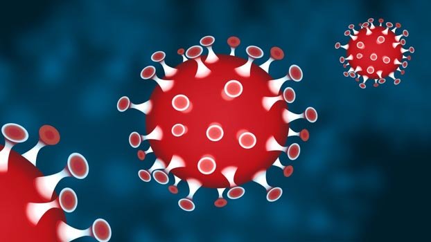 5 more coronavirus cases detected