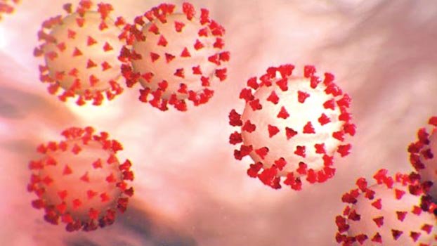 Coronavirus: Global death toll reaches 47,232