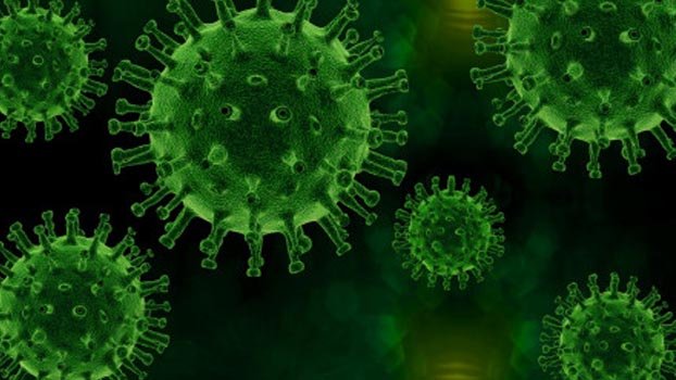 Coronavirus new cases fall: 3 more die
