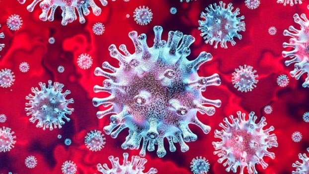 Coronavirus: Global death toll hits 114,247