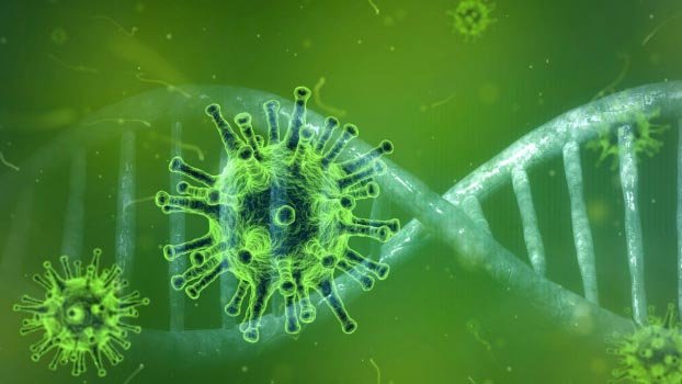 Bangladesh sees record rise in new virus cases