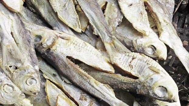 Dried fish processors seek urgent help amid virus crisis