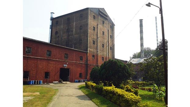 Carew increases vinegar production