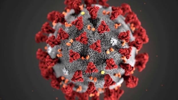 Coronavirus kills  15 in a day