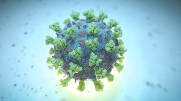 306 new cases, 9 more dies