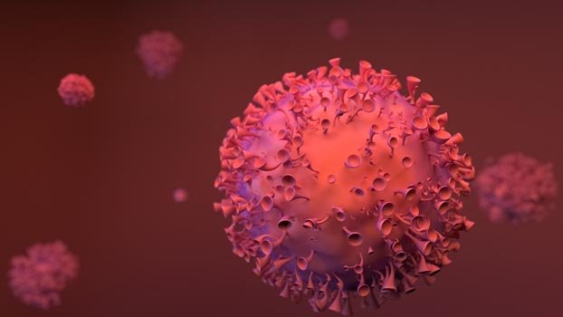 Private sector’s contribution poor to combat Covid-19