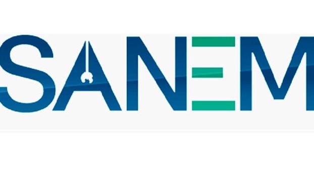 Raise subsidies, waive tax for small industries: SANEM