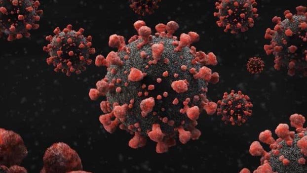 Coronavirus deaths  rise to 91