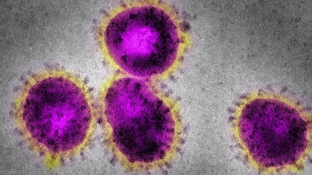 Bangladesh forms experts’ panel on COVID-19