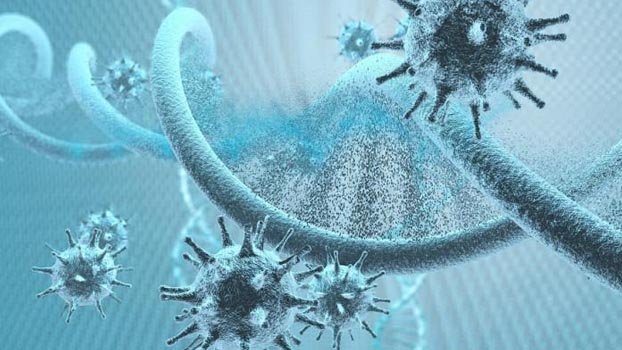 New corona hotspots  emerge