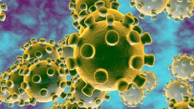 D-8 forms working groups to tackle coronavirus