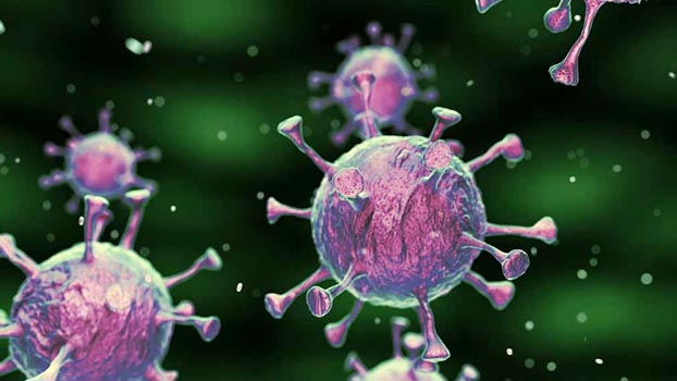 434 new virus cases, 9 deaths in Bangladesh - Bangladesh Post